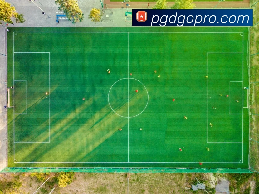 pgAPP 封面图